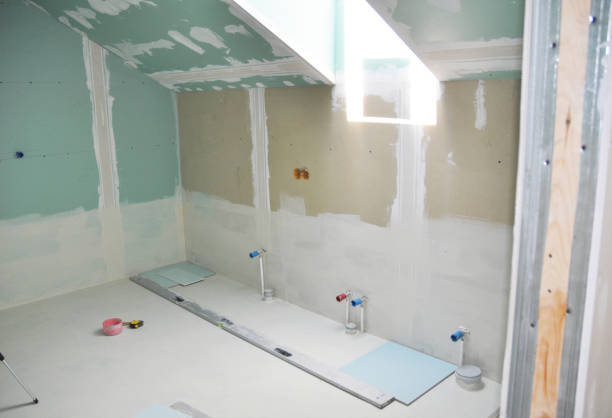 Best Basement Mold Removal  in Eagle, ID