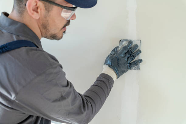 Best Commercial Mold Inspection  in Eagle, ID