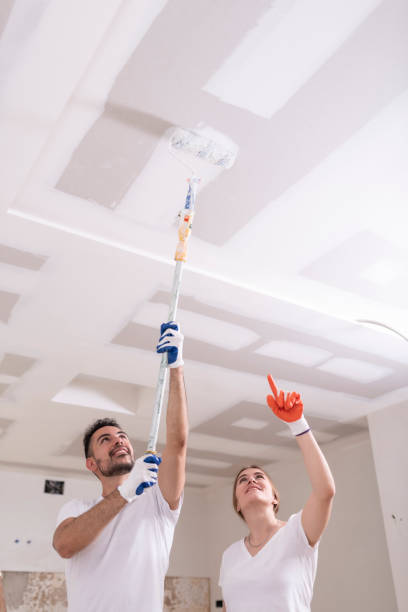 Trusted Eagle, ID Mold Removal Experts
