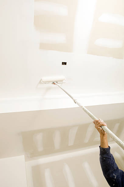 Best HVAC Mold Inspection and Cleaning  in Eagle, ID
