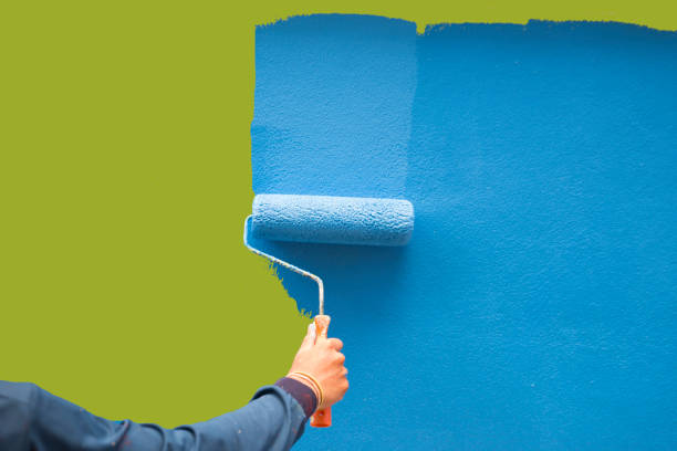 Best Emergency Mold Remediation  in Eagle, ID