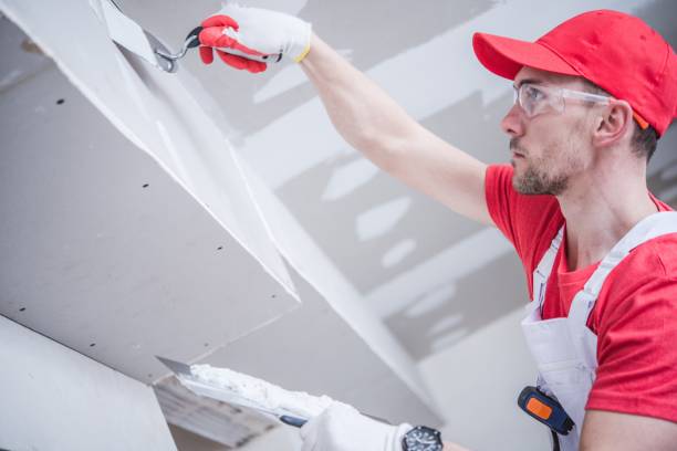 Best Black Mold Removal  in Eagle, ID